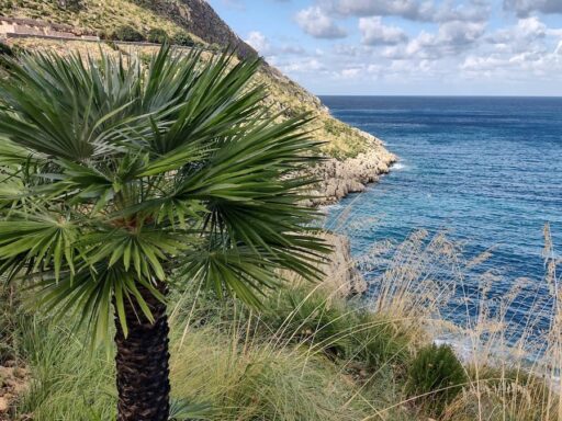 Beach Zingaro Oriented Nature Reserve