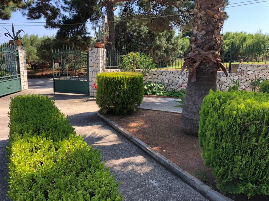 Nikolaos Studios Skala