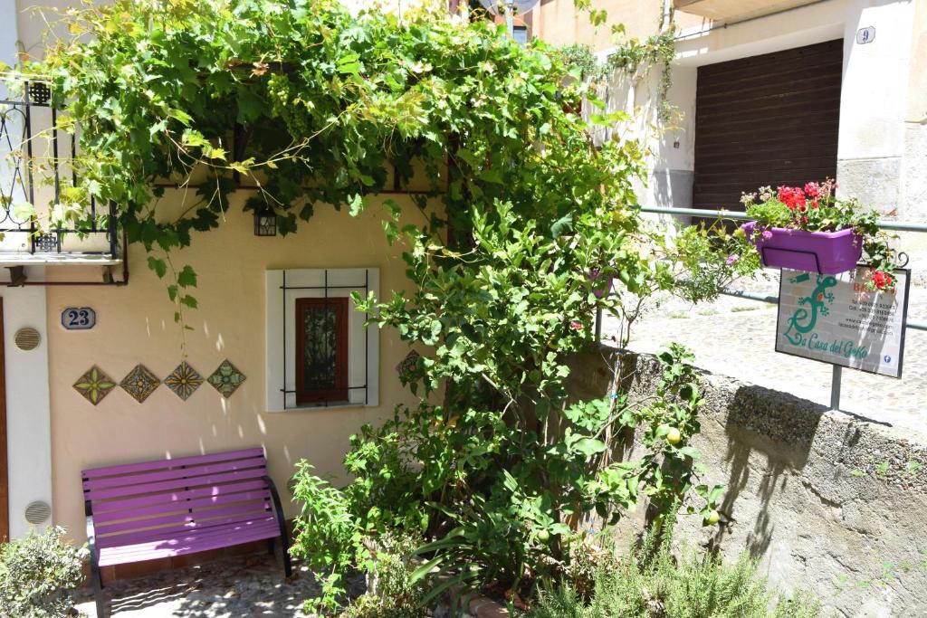 La Casa del Geko