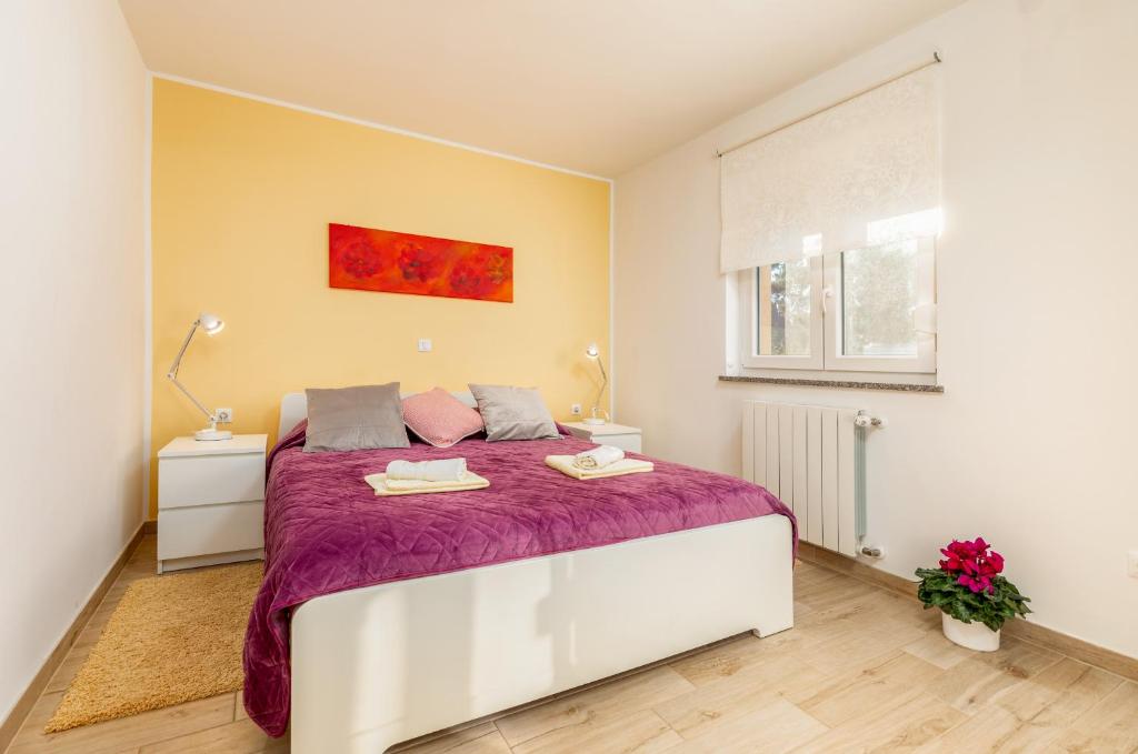 Apartments Hortensia