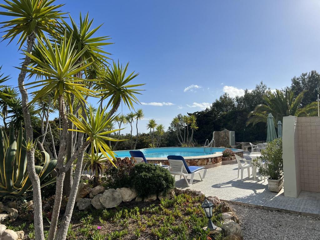 Casa Galo Verde Apartments
