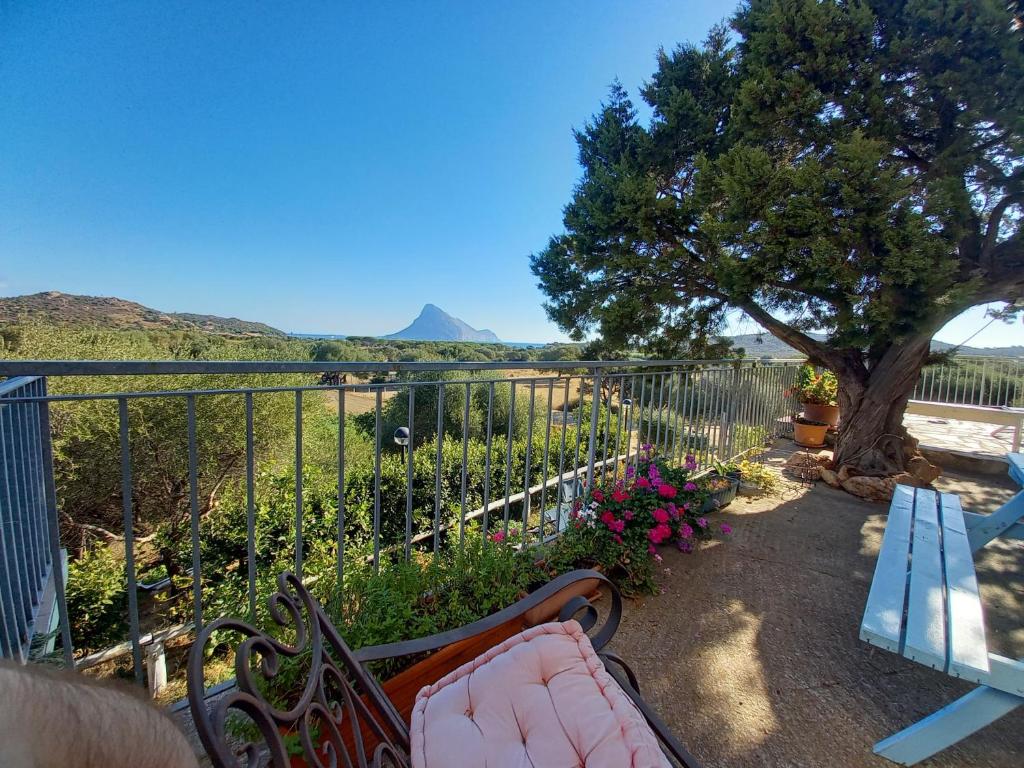 B&B La Taerra