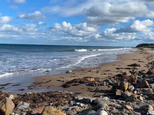 Cocklawburn Beach, Northumberland