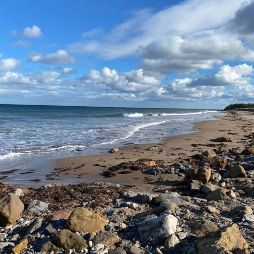 Cocklawburn Beach, Northumberland