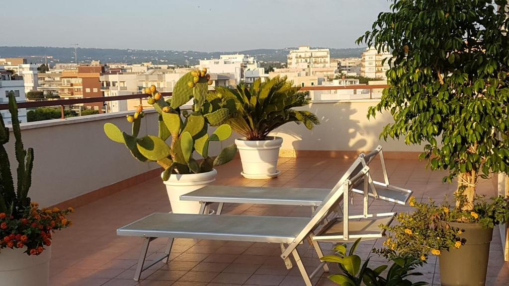 Isolazzurra Hotel