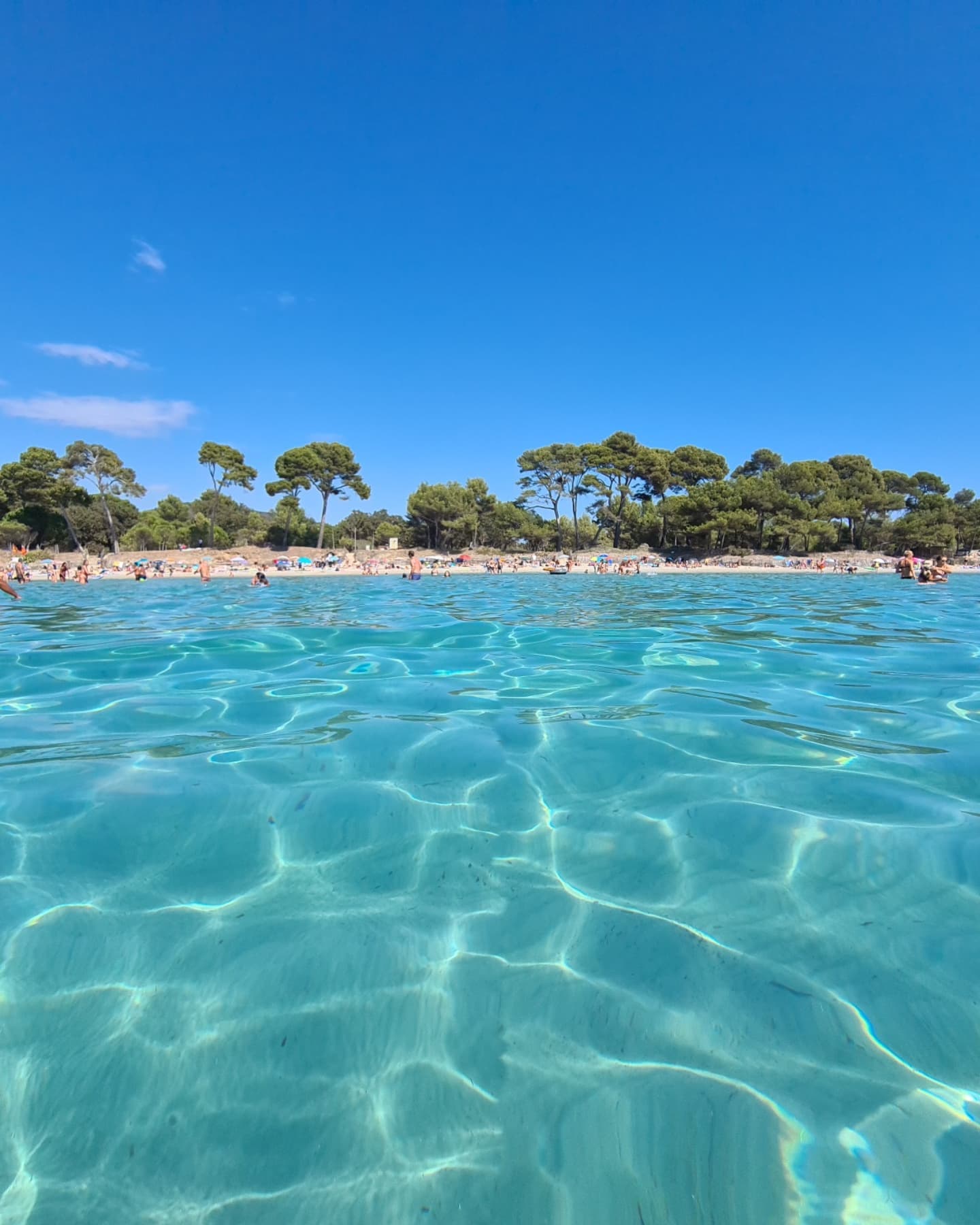 Plage de l'Estagnol, Franch