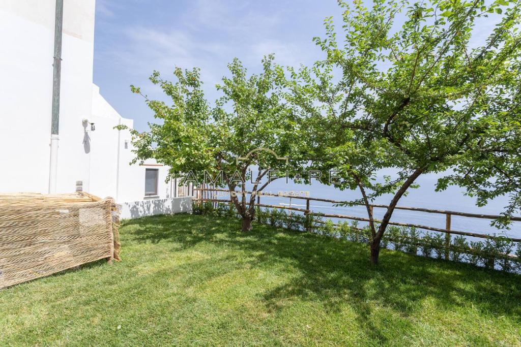 Lionetti Suite House