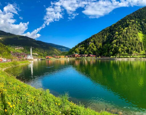 head Trabzon