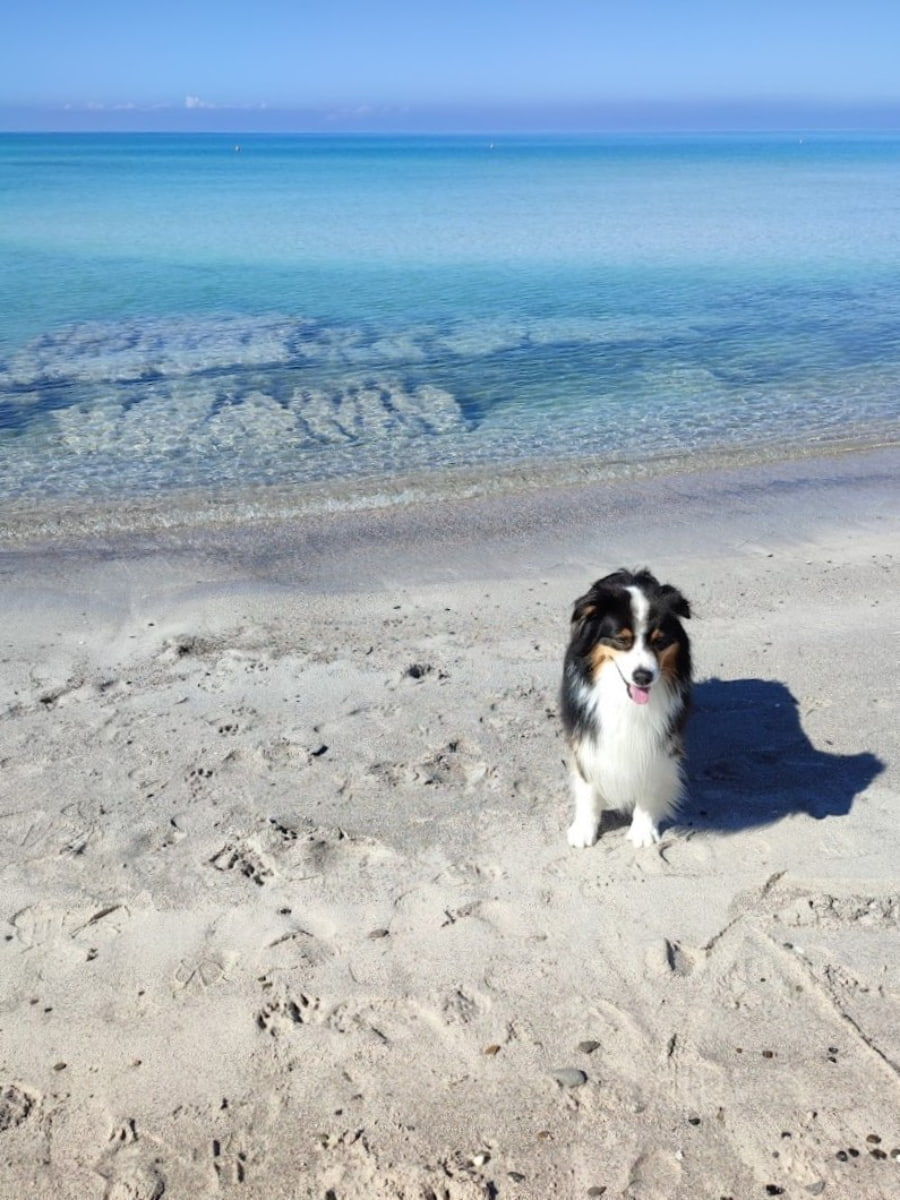 Spiagge Bianche Spiagge Bianche
